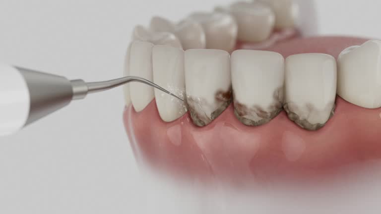 Reliable Dental contractor in Georgetown, CT by Dentist Open Now